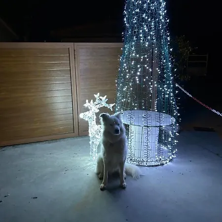 La Salina - Complejo Turistico Rural Caleacabo Biescas (Asturias)